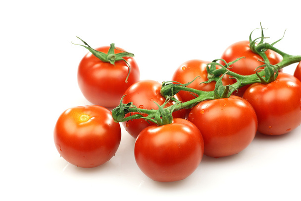 つるに新鮮な赤いトマトの束 - 写真・画像
