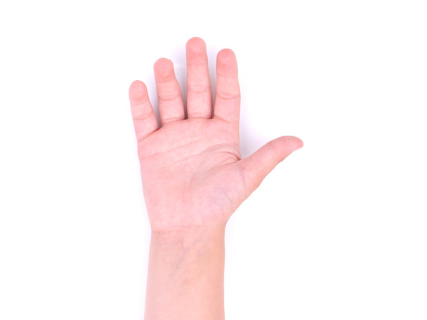 children's hands on a white background - Zdjęcie, obraz