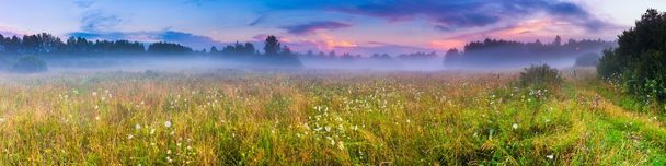 Wild foggy meadow landscape - Photo, Image