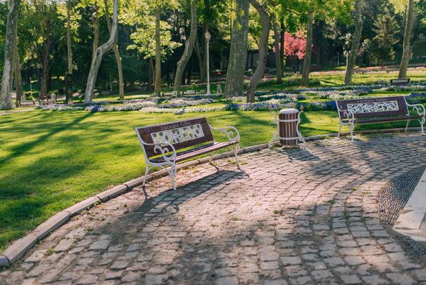 benches in the summer park - Valokuva, kuva
