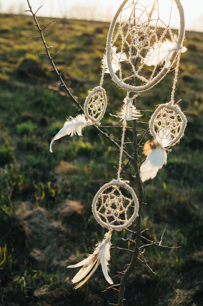 Dreamcatcher visí ze stromu v poli při západu slunce - Fotografie, Obrázek