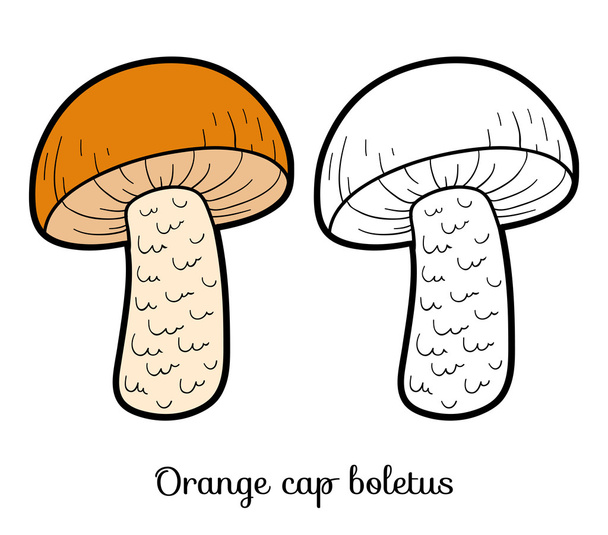 Coloring book. Edible mushrooms, orange cap boletus - ベクター画像