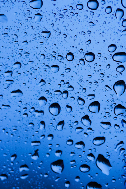 krople deszczu na szybie okna. Płytkie Dof - Zdjęcie, obraz