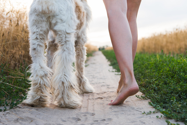 Latem dzień kobieta spaceru z psem - Zdjęcie, obraz