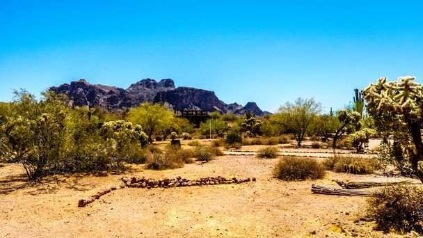 Lost Dutchman State Park with Superstition Mountain in the background - Photo, Image