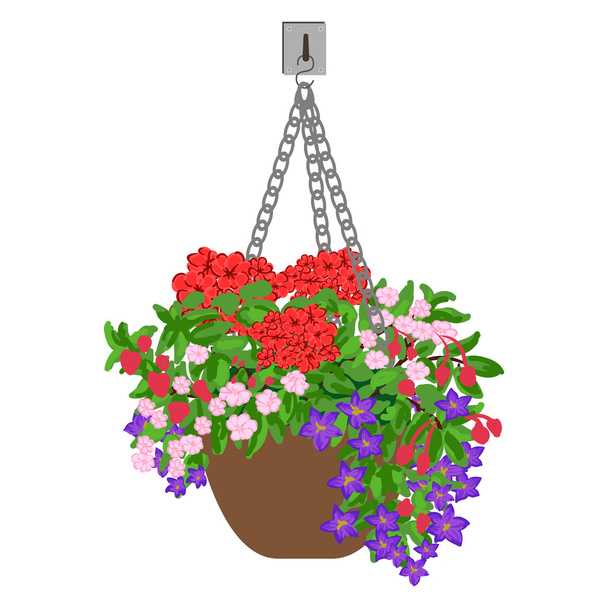 Vektorové ilustrace závěsný květináč - Vektor, obrázek