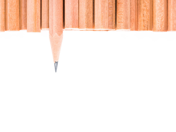 Stojak na białym tle ostry ołówek spośród innych brązowy ołówki - Zdjęcie, obraz