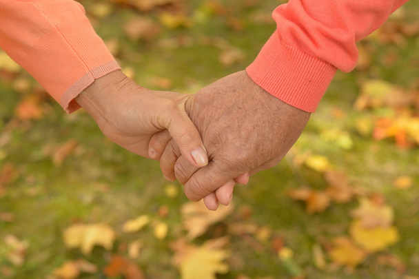 Elderly couple holding hands - Фото, изображение