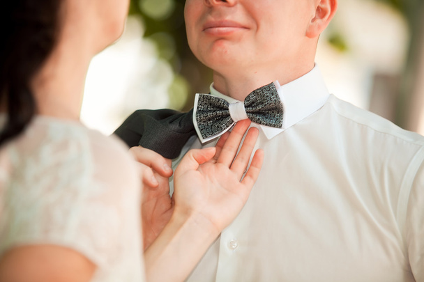 Tie Butterfly close-up. Wedding groom suit - 写真・画像