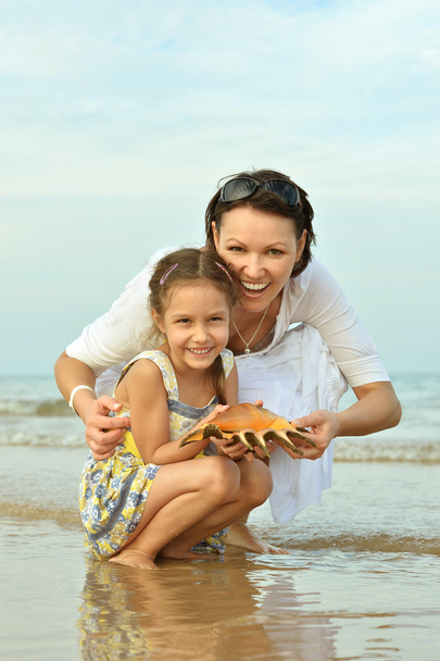 little girl with shell - Photo, Image