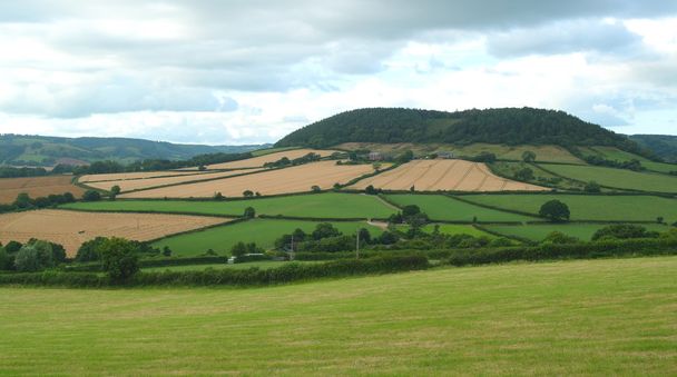 Terras agrícolas em East Devon
  - Foto, Imagem