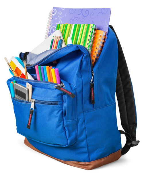 School Backpack  on   background. - Fotoğraf, Görsel