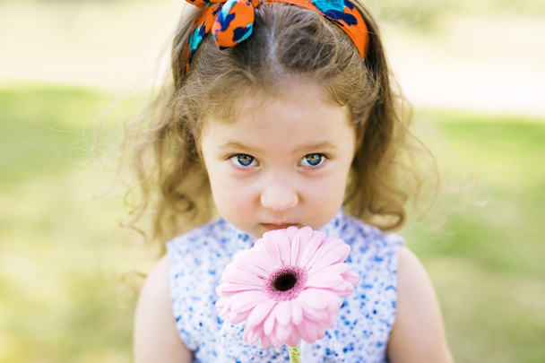 Χαριτωμένο κορίτσι μυρίζοντας Ροζ ζέρμπερες - Φωτογραφία, εικόνα