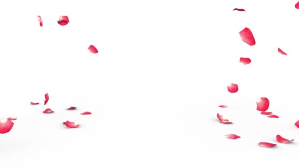 Rode rozenblaadjes vliegt op de verdieping aan beide zijden. Alfa masker opgenomen - Video