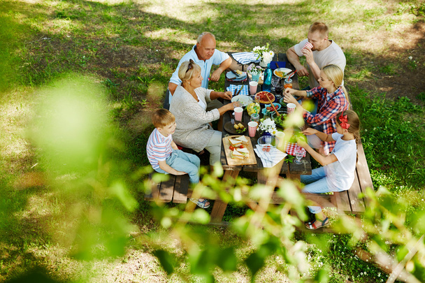 Perhe nauttii piknikistä - Valokuva, kuva