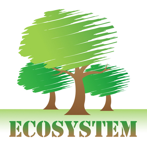 Ökoszisztéma fák mutatja ökológiai környezet és a természeti - Fotó, kép