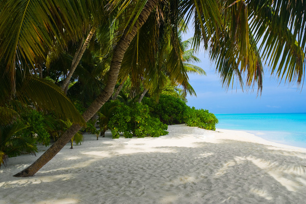 Sea and tropical beach - Foto, afbeelding
