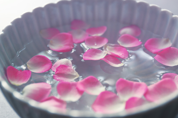 Petals in bowl, closeup - Foto, immagini