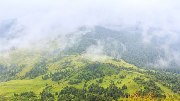Вид з вершини Карпатських гір, над хмарами. Чорногора. - Фото, зображення