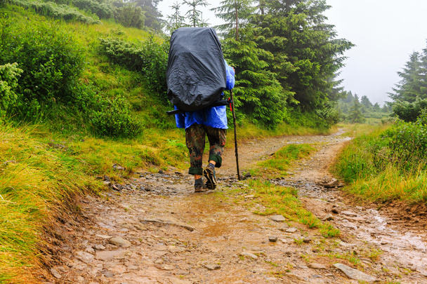 Tourist goes along mountain trail in mist weather, Carpathians, Ukraine. - Fotó, kép