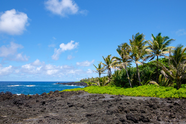 Пейзажний вид на океан берегової лінії в Мауї - Фото, зображення