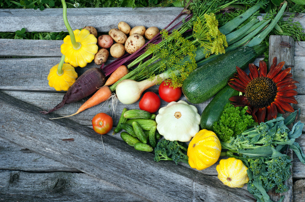 スカッシュ、ズッキーニ、トマト、コーン、きゅうり、玉ねぎ、ビート、ニンジン木の板。菜食主義者の概念。自然の有機農産物です。夏野菜の背景 (壁紙)。テキストのためのスペース - 写真・画像