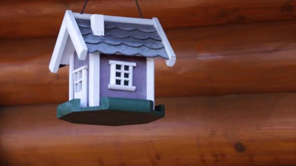 красочный птичий домик на фоне гранжа
 - Кадры, видео