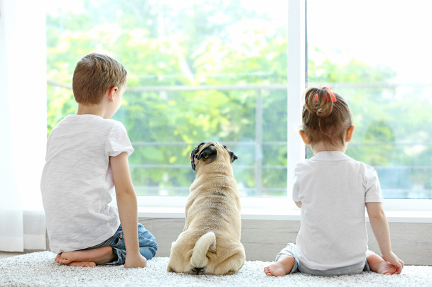 Back of kids and pug at home - Photo, Image