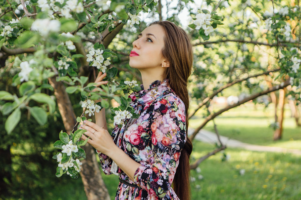 Beautiful young woman standing near the apple tree. - Photo, image