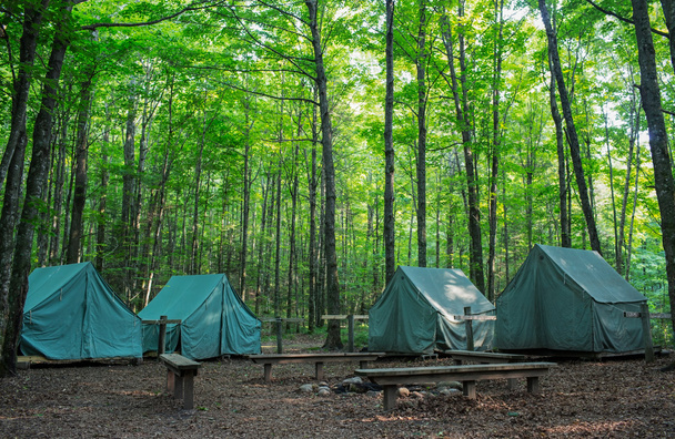 無作法なキャンプ場でキャンプのテント - 写真・画像