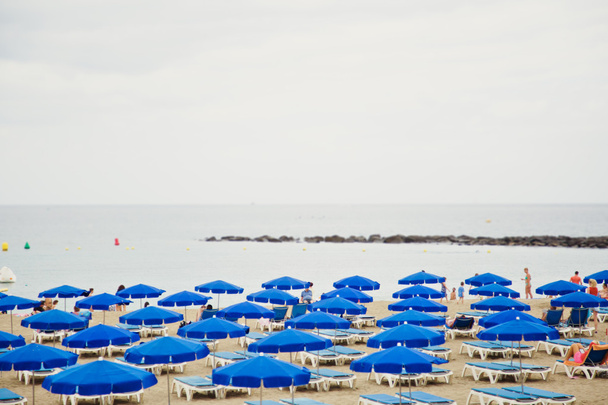 Піщаний пляж з шезлонгами та парасольками
 - Фото, зображення