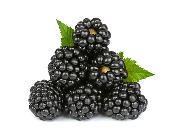 Fruta de amora preta em branco
 - Foto, Imagem