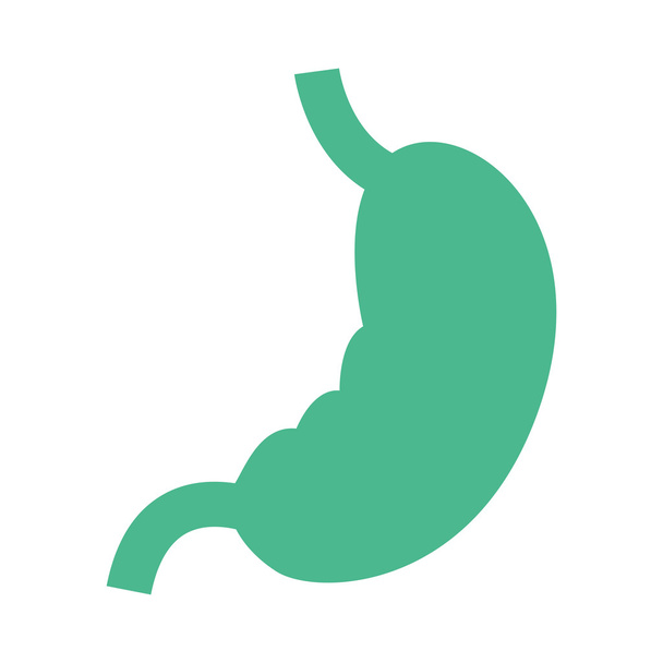 stomach organ human isolated icon - Vector, Image