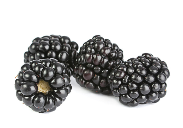 Blackberry fruits sur blanc
 - Photo, image