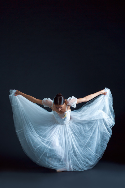 Portrait of the classical ballerina in white dress on black background - 写真・画像