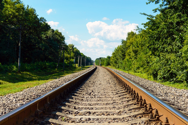 De spoorlijn gaat naar horizon, aan beide zijden van het dichte groene woud - Foto, afbeelding