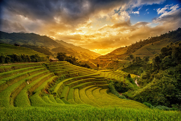 Campos de arroz en la terraza en temporada de lluvias en Mu Cang Chai, Yen Bai, Vietnam
 - Foto, imagen
