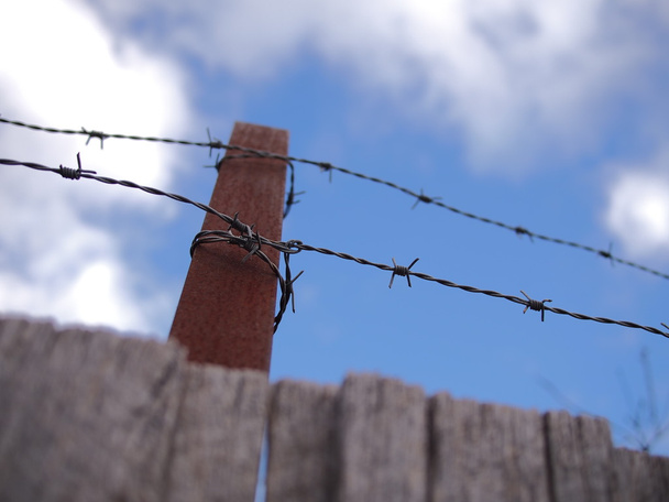 Filo spinato in acciaio su una recinzione sotto il cielo blu e nuvoloso
 - Foto, immagini