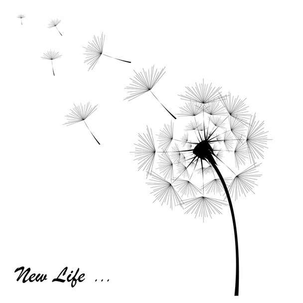 Dandelion in black with the inscription on the white background - Vector, Image