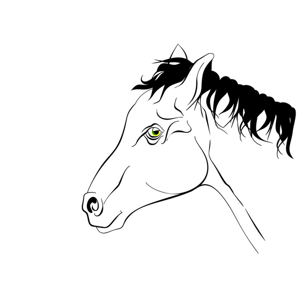 Elegant black and white silhouette horse with realistic green eyes. - Vector, Image