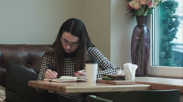 Young business woman with notebook on lunch break in cafe or restaurant working - Video