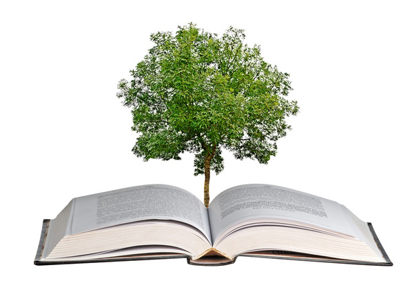 Árvore crescendo de livro aberto
 - Foto, Imagem