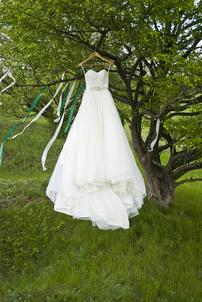 La robe blanche de mariage est accrochée à un arbre
 - Photo, image