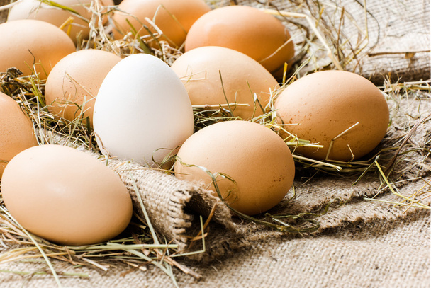eggs in the straw lie on sacking - Foto, afbeelding