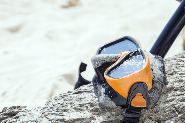 Diving Goggles and Snorkel Gear wood tree on white sand near bea - Photo, Image