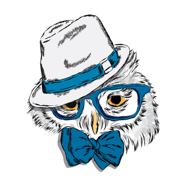 Owl wearing a hat and sunglasses. Fashion Style. Print. Hipster. Bird vector. - Вектор, зображення