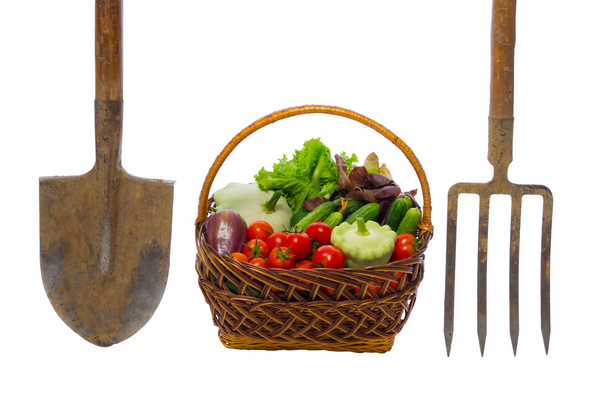basket with vegetables and garden tools on white - Foto, Imagen
