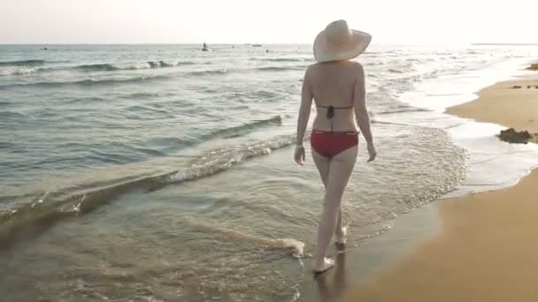 日没の夜明けにビーチを歩いて女性 - 映像、動画