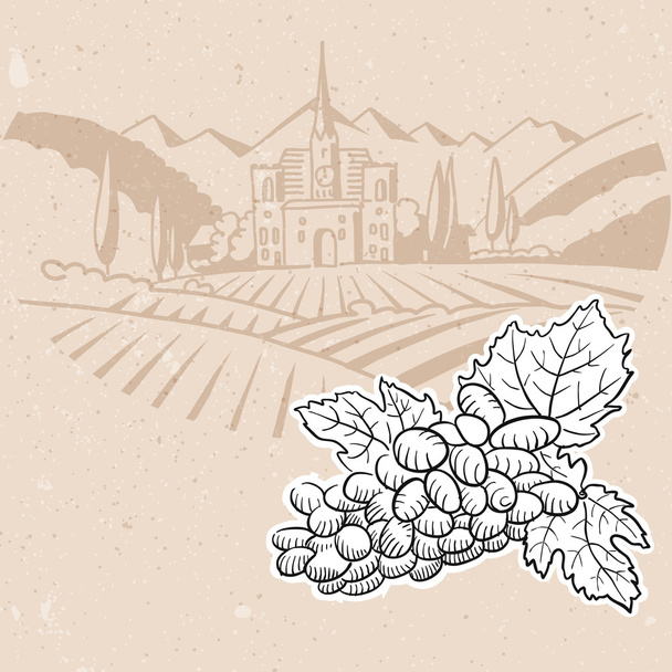 ブドウとワイン畑、メニュー カード背景デザイン - ベクター画像