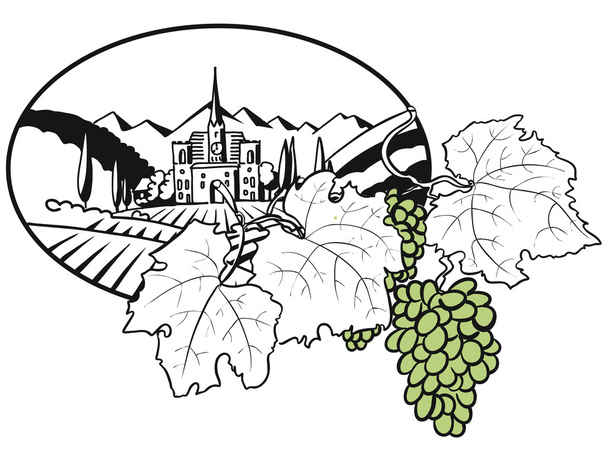 Виноградная ферма дизайн крышки с цветным виноградом
 - Вектор,изображение